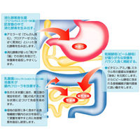 強力わかもと　300錠　わかもと製薬　【指定医薬部外品】