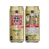 ハイボール 宝酒造 タカラ 焼酎ハイボール 〈梅干割り〉 缶 500ml 1ケース（24本）