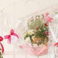 ヘッズ エスペシャリータッグ付ゴムリボン-1/ピンク EF-TGR1 1セット（100個：20個×5パック）（直送品）