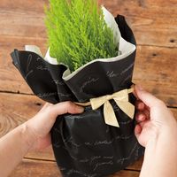 ヘッズ シャインリボンゴムタッグゴールド-2 GOL-TR2 1セット(150個:30個×5パック)