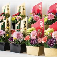 ヘッズ 迎春ペーパートレイ-黒金 GS-GTB 1セット（20枚：10枚×2パック）（直送品）