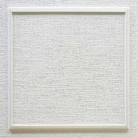 フクビ化学工業 HCリフォーム壁点検口W-10（250×250） W1225WH 1ケース（10枠入）（直送品）