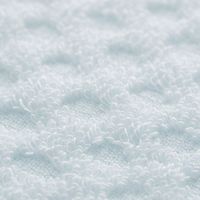 大同 憩 ITSIKI20BL FT 2P 逸織タオル IT-665733（直送品）