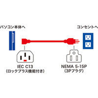 サンワサプライ 抜け防止ロック電源コード APW12-515C13LK02R 1本（直送品）