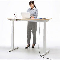 サンワサプライ 電動上下昇降デスク 薄い木目 幅1200×奥行700×高さ630～1280mm ERD-M12070LM 1台（直送品）