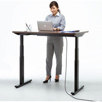 サンワサプライ 電動上下昇降デスク 濃い木目 幅1200×奥行700×高さ630～1280mm ERD-M12070M 1台（直送品）