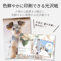 エレコム ハガキ用紙/光沢/厚手/キヤノン用/50枚 EJH-CGNH50 1個(50枚入)