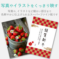 ELECOM スーパーファイン紙/高画質用/超特厚/両面/A3/10枚 EJK-SRCTPA310 1個（10枚入）