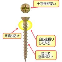 ダンドリビス コンパネビス DC40 徳用箱 4920125800834 1箱（3770本入）（直送品）