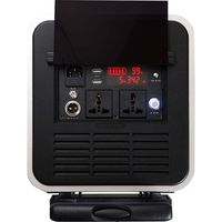 SCENES 大容量リチウムバッテリー PG-2000B（直送品）