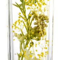 ハーバリウム/イエロー＆ピンク2種セット プリマ（直送品）