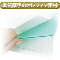 共栄プラスチック ORIONS 硬筆用ソフト透明下敷 B4 オレフィン NO.120 NO.12022 1セット(2枚)