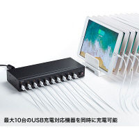 サンワサプライ USB充電器（10ポート・合計24A） ACA-IP61 1台（直送品）