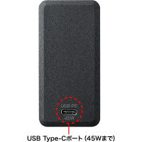 サンワサプライ USB Power Delivery対応AC充電器(45W) ACA-PD58BK 1個（直送品）