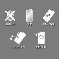 【処分品】サンワサプライ Apple iPhone XR用背面保護指紋防止光沢フィルム PDA-FIP79FP 1枚（直送品）