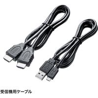 サンワサプライ ワイヤレスHDMIエクステンダー(USB3.1 Type-C接続用) VGA-EXWHD6C 1個（直送品）