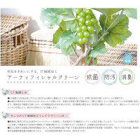 キシマ エクリア 消臭アーティフィシャルグリーンL ブラウン 2個セット ブラウン KH-61100X2 1セット（直送品）