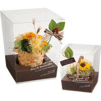 ヘッズ BKFフラワークリアBOX-MT BKF-FBMT 1セット（100枚：10枚×10パック）（直送品）