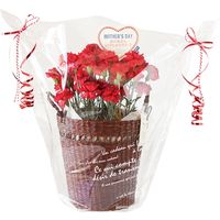 ヘッズ BKFギフトOPPポットバッグ-L BKF-OPCL 1セット（250枚：50枚×5パック）（直送品）