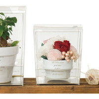 ヘッズ エレガントフラワークリアBOX-XS EGS-FBXS 1セット（100枚：10枚×10パック）（直送品）