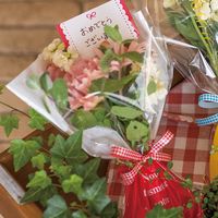 ヘッズ フラワーギフトOPPバッグ-6 FL-O6 1セット（500枚：50枚×10パック）（直送品）