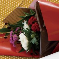 ヘッズ PEスクエアバッグ/ブラウン-S FRB-SQS 1セット（3000枚：50枚×60パック）（直送品）