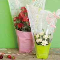 ヘッズ ミルキーポップギフトOPPバッグ-3/グリーン MPG-OP3 1セット（250枚：50枚×5パック）（直送品）