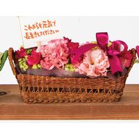 ヘッズ メッセージカード付フラワーピック-9/ナガイキ MSC-FP9 1セット（50本：10本×5パック）（直送品）