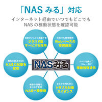 エレコム LinuxNAS/1Bay/3TB/NetStor5シリーズ NSB-5A3T1BL 1個（直送品）