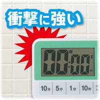 アスカ 防滴タイマー KT118 1セット(2台)