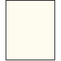 林製作所 ロールスクリーン プレーンタイプ 幅800×高さ2200mm オフホワイト L3507 1台（直送品）