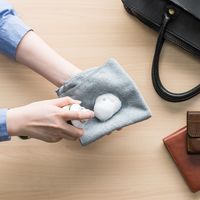 サンワダイレクト レザークリーナー（フォームタイプ・メンテナンス・革・靴） 200-CD032 1個（直送品）