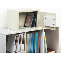 サンワダイレクト 電子金庫（マイナンバー・セキュリティ-対策・家庭用・テンキー・鍵式・壁掛け対応・中棚付き・21リットル） 200-SL044 1個（直送品）