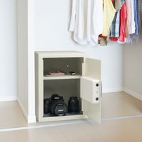 サンワダイレクト 電子金庫（マイナンバー・セキュリティ-対策・家庭用・テンキー・鍵式・壁掛け対応・中棚付き・43リットル） 200-SL045 1個（直送品）