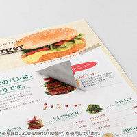 サンワダイレクト ラベルシール（下地が透けない 訂正シール・12面・A4・楽貼りタイプ） 300-DTP12 1個（直送品）