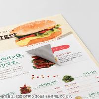 サンワダイレクト ラベルシール（下地が透けない 訂正シール・24面・A4・楽貼りタイプ） 300-DTP24 1個（直送品）