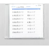 サンワダイレクト CD・DVD インデックスカード（手書き用・つやなし・100枚入） 300-IND001 1個（直送品）