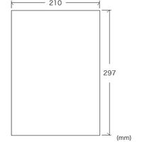 サンワダイレクト 両面印刷ファイン用紙（A4・500シート） 300-JP007 1個（直送品）
