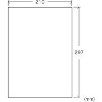 サンワダイレクト マット紙・スーパーファイン紙（A4・100枚） 300-JP033 1個（直送品）