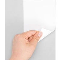 サンワダイレクト インクジェット両面印刷用紙（特厚・はがきサイズ・マット・100枚入り） 300-JPR003 1個（直送品）