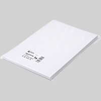 サンワダイレクト ラベルシール（A4・ノーカット・100枚） 300-RB07 1個（直送品）