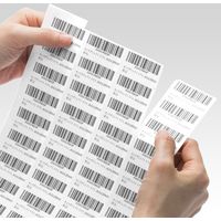 サンワダイレクト マルチ宛名ラベル（シールタイプ・44面・100枚入・A4・強粘着） 300-RB44 1個（直送品）