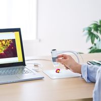 サンワダイレクト USBマイクロスコープ（最大250倍・デジタル顕微鏡） 400-CAM056 1個（直送品）