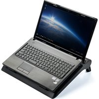 サンワダイレクト ノートパソコンクーラー 400-CLN025 1個（直送品）