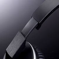 サンワダイレクト テレビヘッドホン ワイヤレス（最大30m・連続10時間） 400-HS032 1個（直送品）