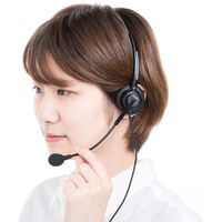 サンワダイレクト ワイヤレスガイド システム用マイク 400-HSGS-HS1 1個（直送品）