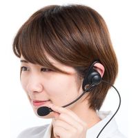 サンワダイレクト ワイヤレスガイド システム用マイク 400-HSGS-HS2 1個（直送品）