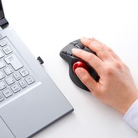 ワイヤレスマウス　無線　5ボタン　大型サイズ　レーザー　400-MA073BK　サンワサプライ　１個（直送品）