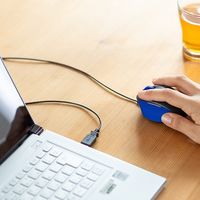 サンワダイレクト 有線マウス（エルゴノミクス・疲労軽減・小型・4ボタン・ブルーLED光学式・ブラック・ブルー） 400-MA105BK 1個（直送品）