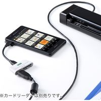 サンワダイレクト モバイルスキャナ（写真スキャナ・A4・PDF・1200dpi対応） 400-SCN022 1個（直送品）
